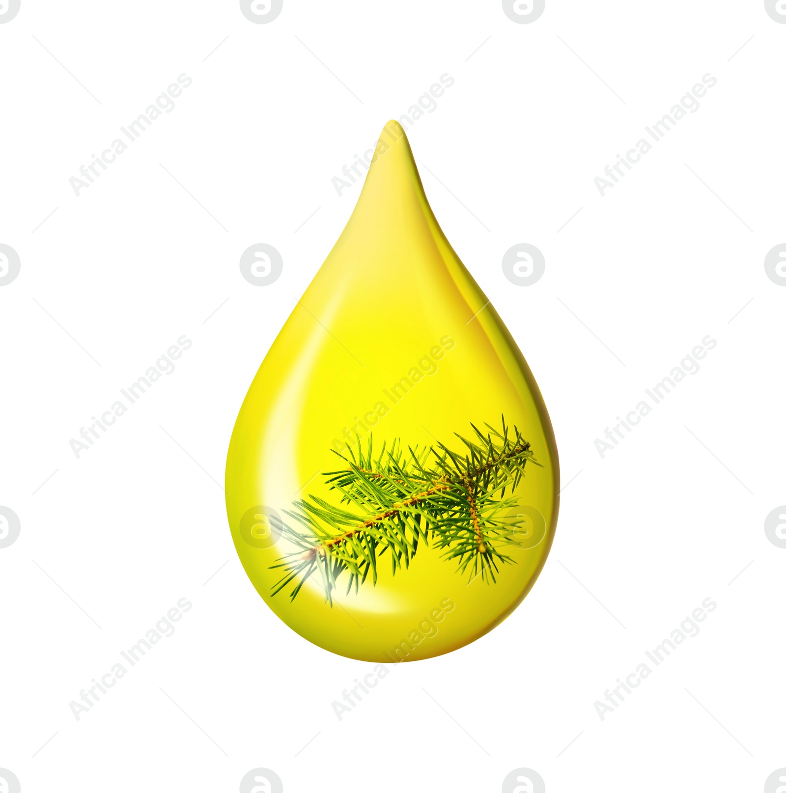 Image of Conifer essential oil drop with fir tree branch inside on white background