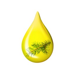 Image of Conifer essential oil drop with fir tree branch inside on white background