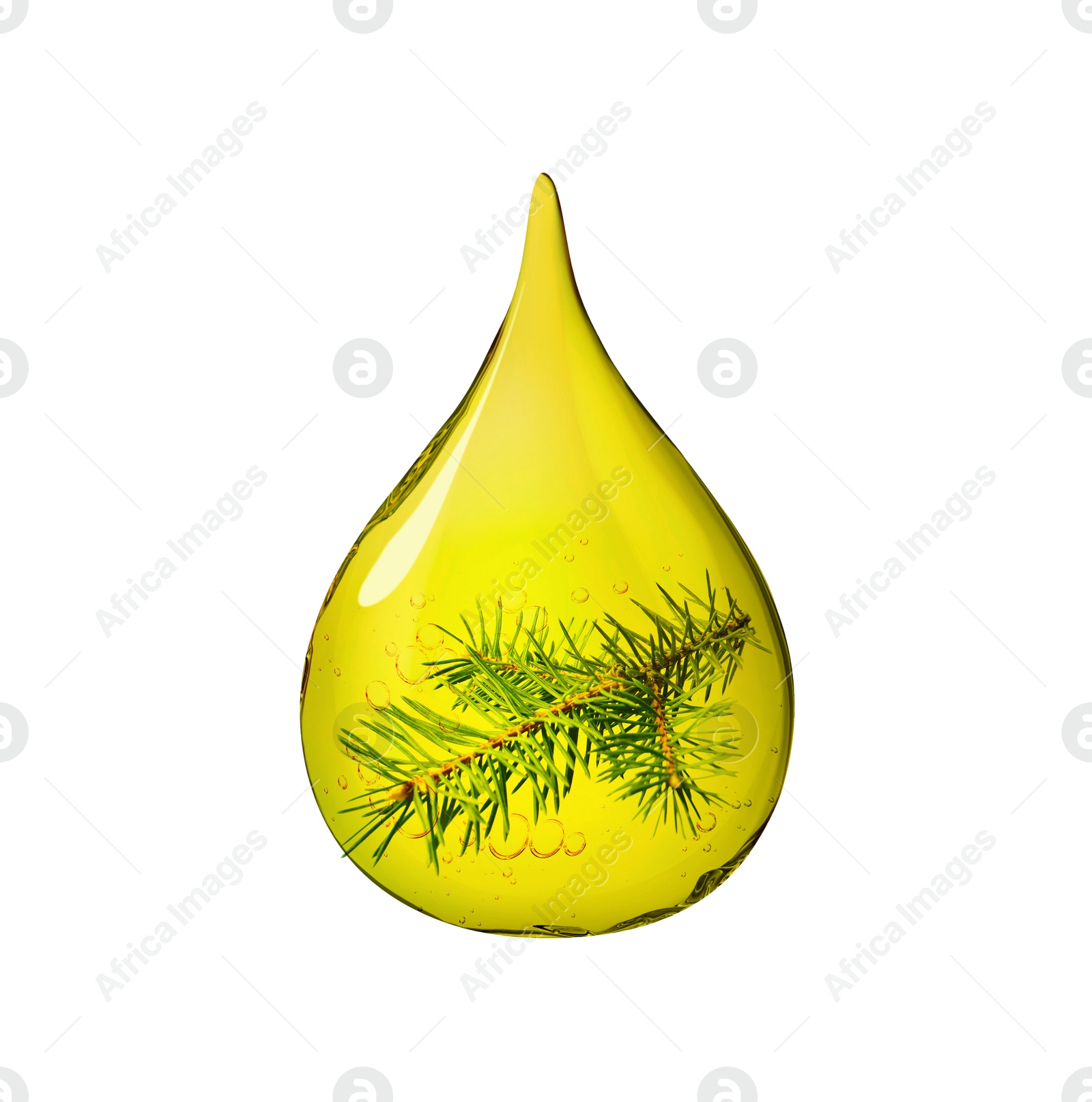 Image of Conifer essential oil drop with fir tree branch inside on white background