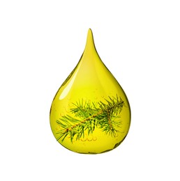 Image of Conifer essential oil drop with fir tree branch inside on white background