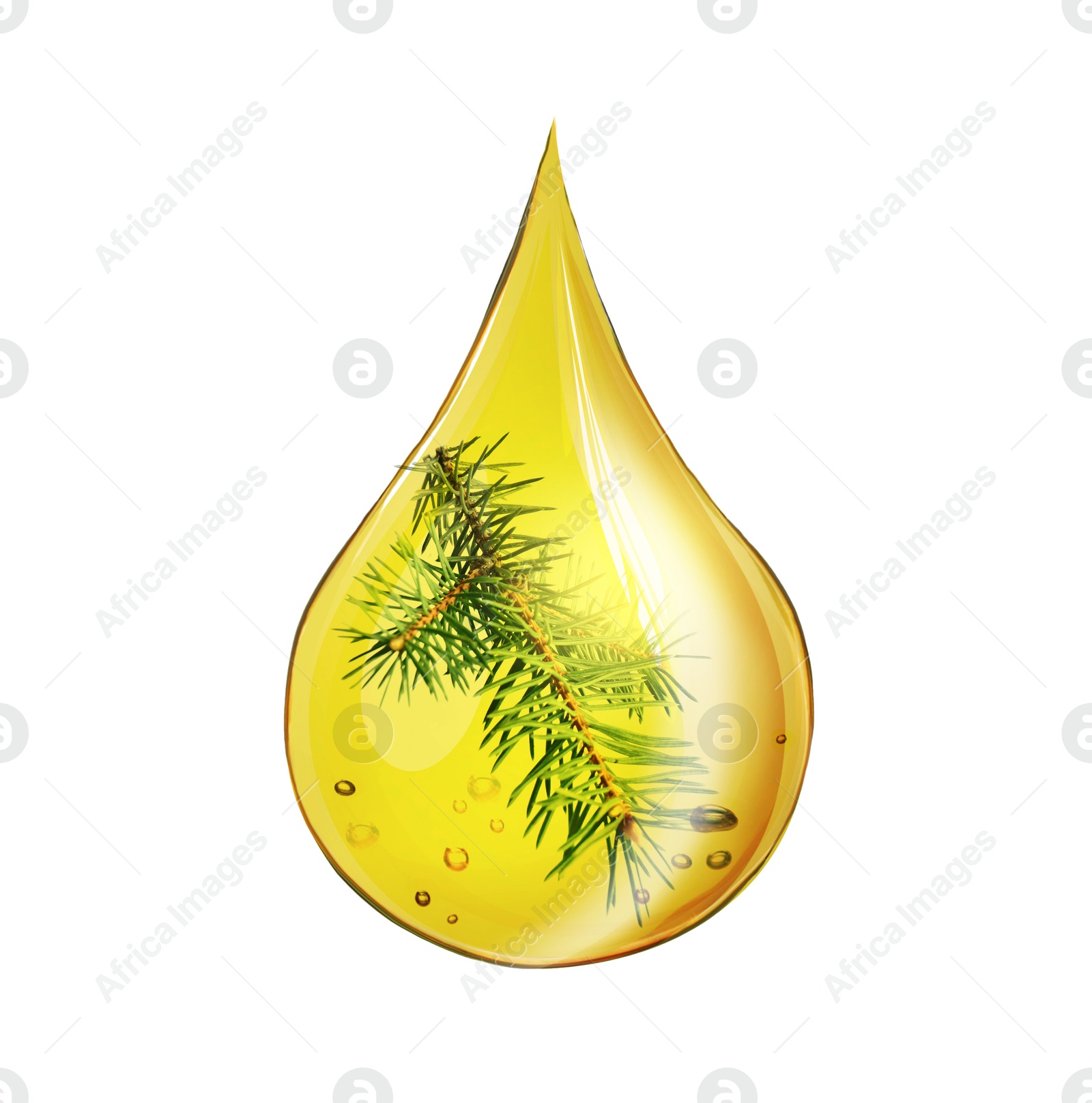 Image of Conifer essential oil drop with fir tree branch inside on white background