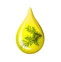 Image of Conifer essential oil drop with fir tree branch inside on white background