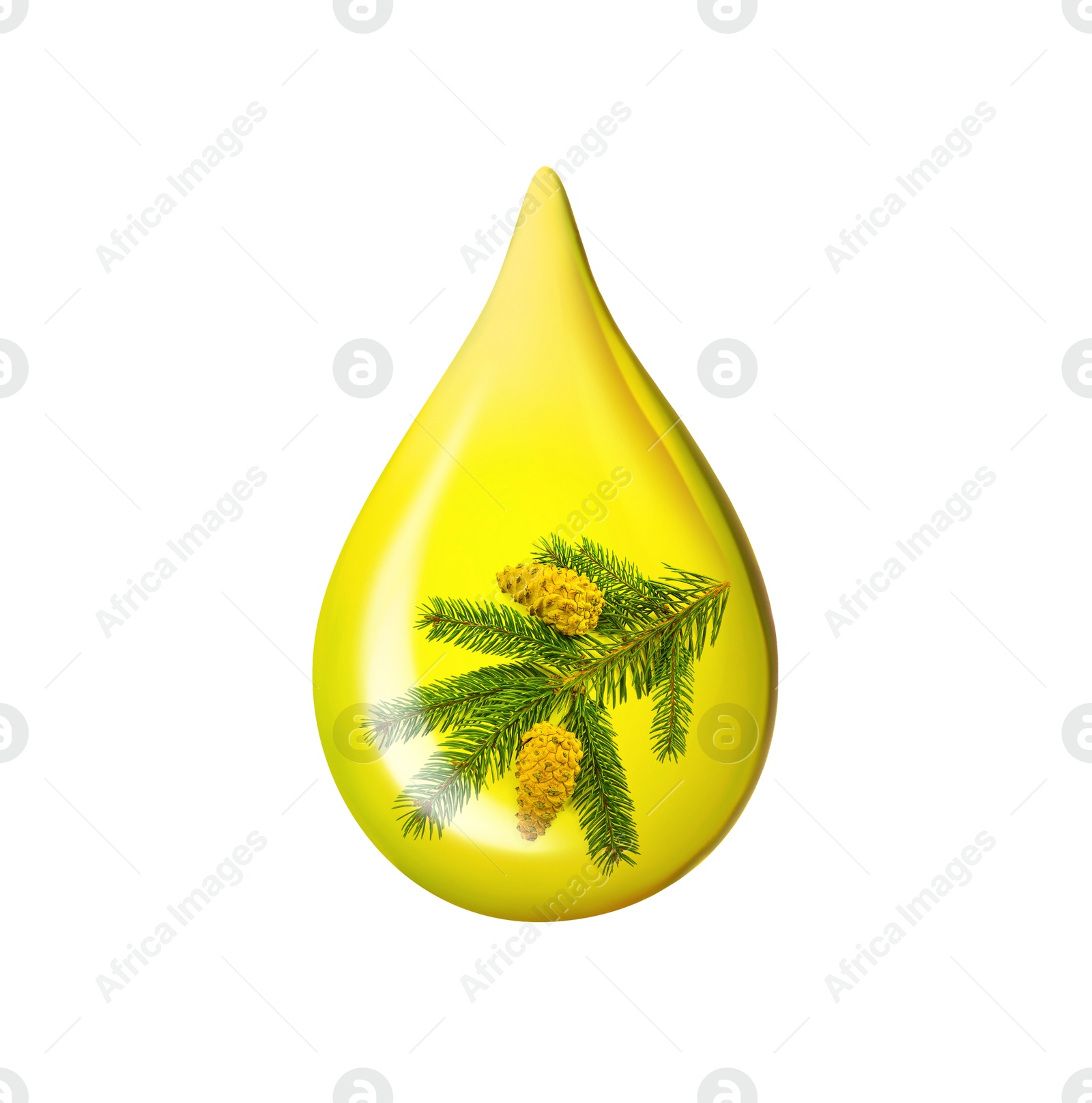 Image of Conifer essential oil drop with fir tree branch inside on white background