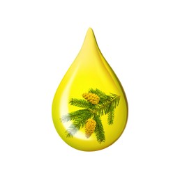 Image of Conifer essential oil drop with fir tree branch inside on white background