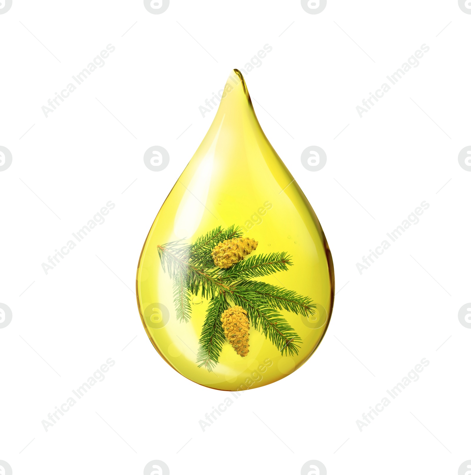 Image of Conifer essential oil drop with fir tree branch inside on white background