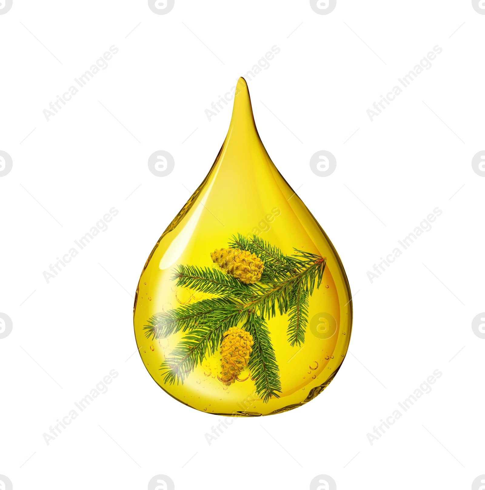 Image of Conifer essential oil drop with fir tree branch inside on white background