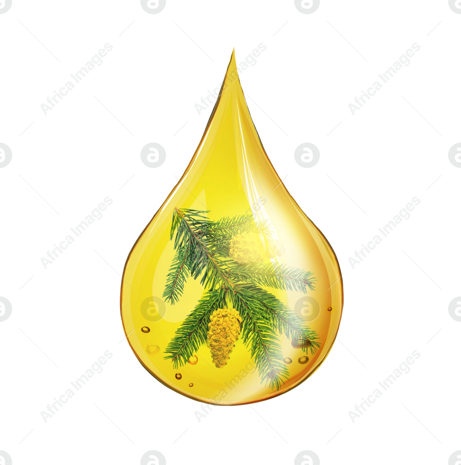 Image of Conifer essential oil drop with fir tree branch inside on white background