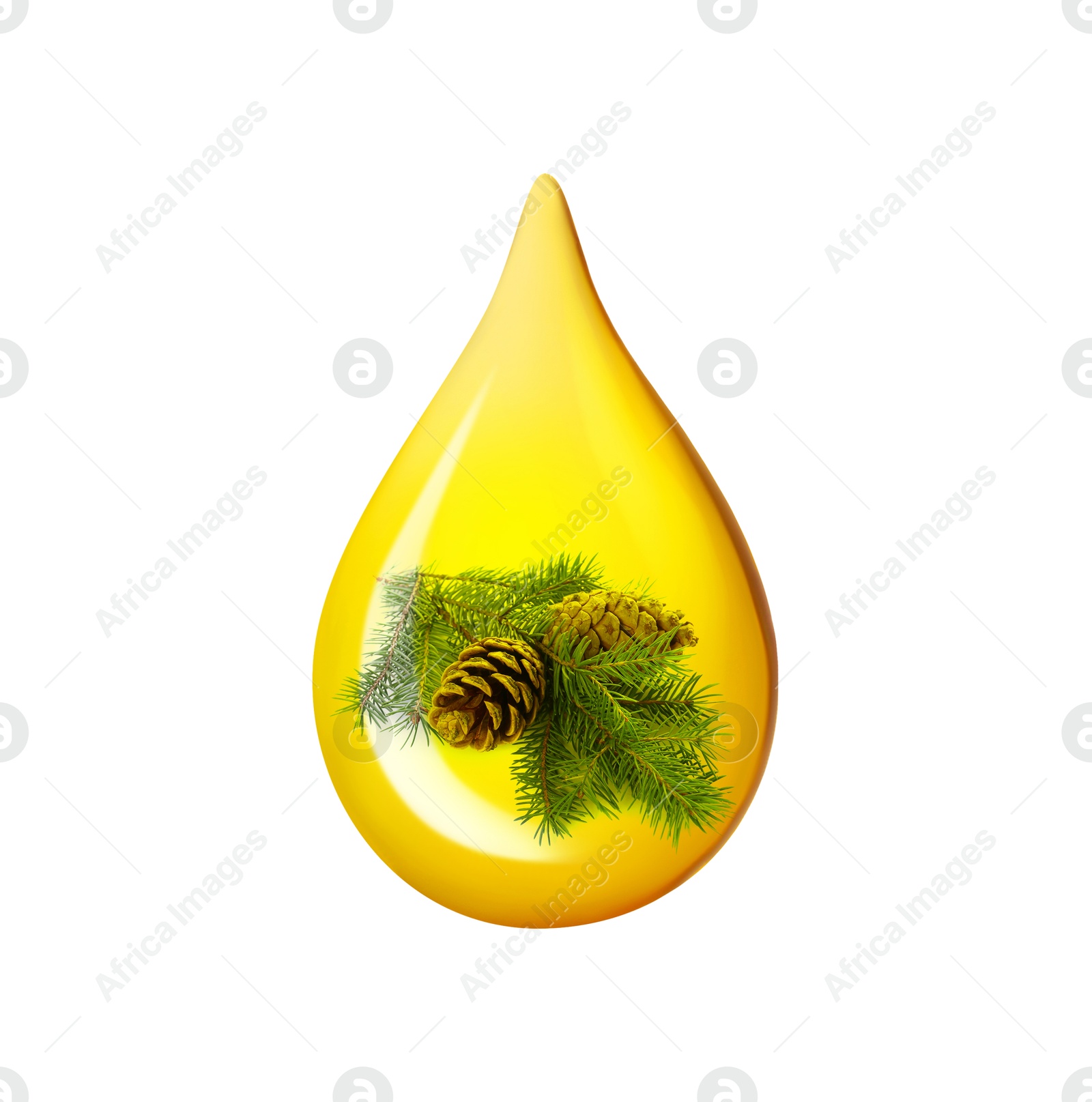 Image of Conifer essential oil drop with fir tree branch inside on white background