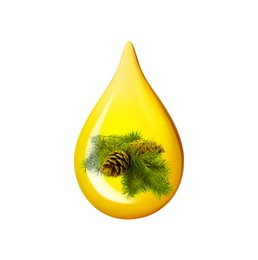 Image of Conifer essential oil drop with fir tree branch inside on white background