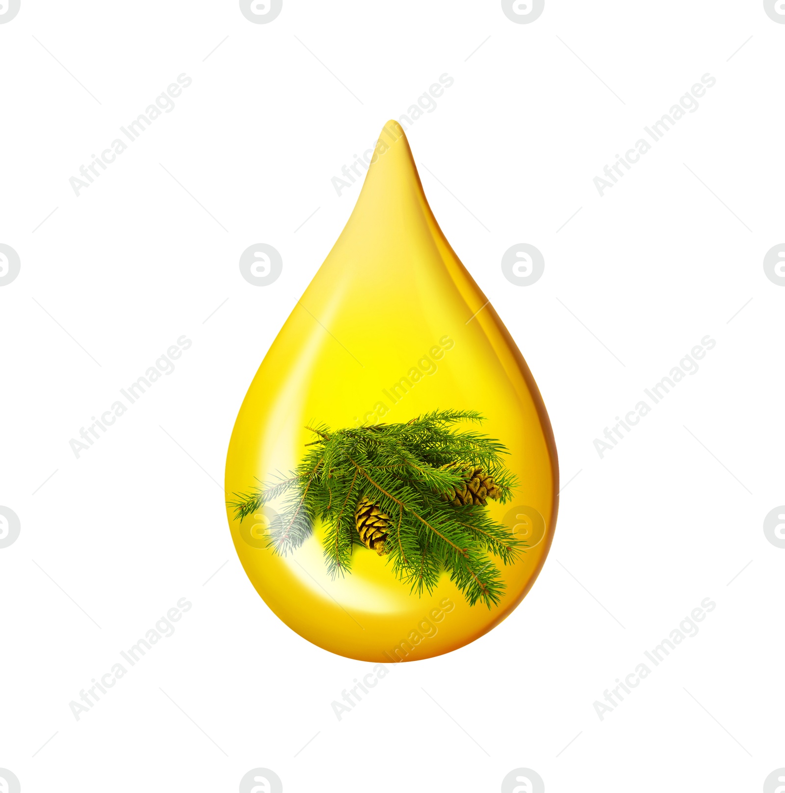 Image of Conifer essential oil drop with fir tree branch inside on white background