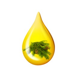 Image of Conifer essential oil drop with fir tree branch inside on white background