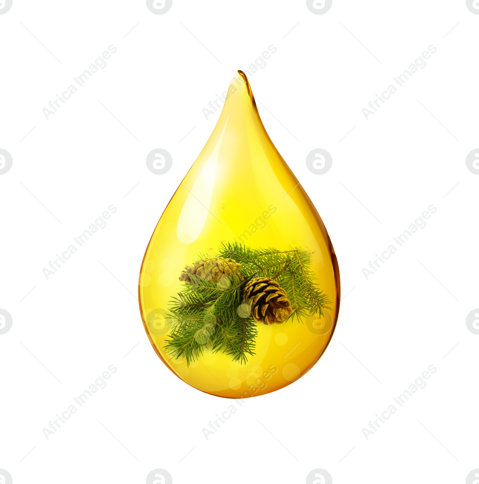 Image of Conifer essential oil drop with fir tree branch inside on white background