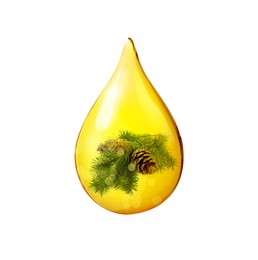 Image of Conifer essential oil drop with fir tree branch inside on white background