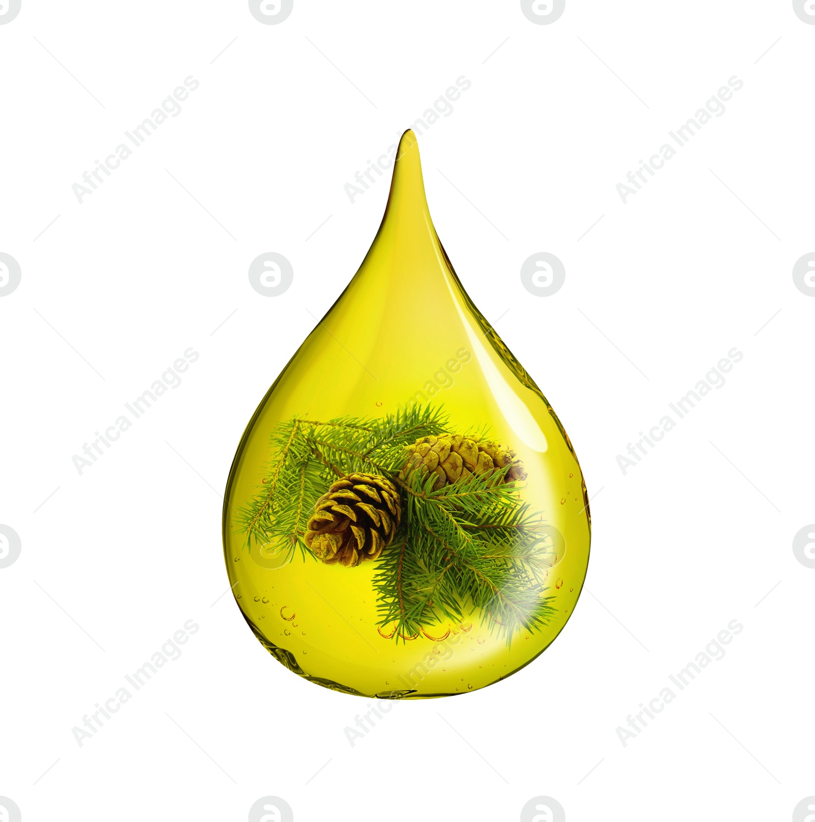 Image of Conifer essential oil drop with fir tree branch inside on white background