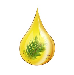 Image of Conifer essential oil drop with pine tree branch inside on white background