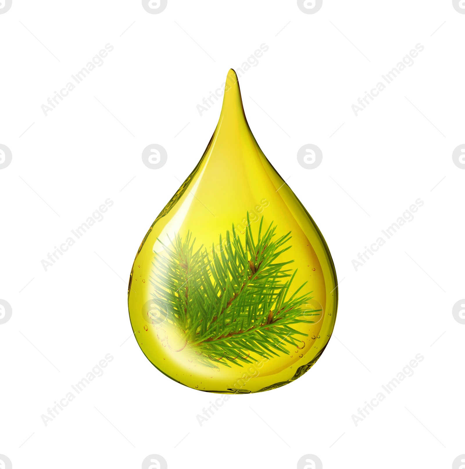 Image of Conifer essential oil drop with pine tree branch inside on white background