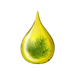 Image of Conifer essential oil drop with pine tree branch inside on white background