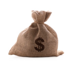 Image of Dollar sign on burlap sack, white background