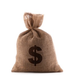 Image of Dollar sign on burlap sack, white background