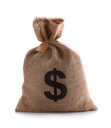 Image of Dollar sign on burlap sack, white background