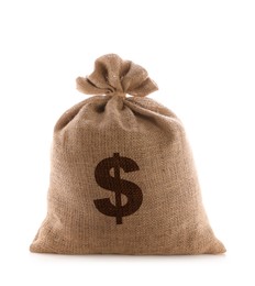 Image of Dollar sign on burlap sack, white background