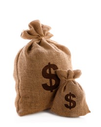 Image of Dollar signs on burlap sacks, white background