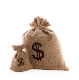 Image of Dollar signs on burlap sacks, white background