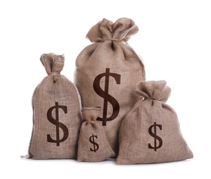 Image of Dollar signs on burlap sacks, white background