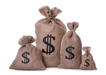 Image of Dollar signs on burlap sacks, white background