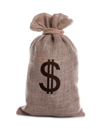 Image of Dollar sign on burlap sack, white background