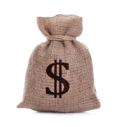 Image of Dollar sign on burlap sack, white background