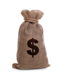 Image of Dollar sign on burlap sack, white background