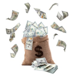 Image of Dollar bills flying around burlap sack with currency symbol on white background