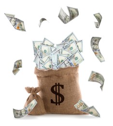 Image of Dollar bills flying around burlap sacks with currency symbol on white background