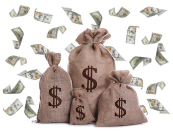 Image of Dollar bills flying around burlap sacks with currency symbols on white background