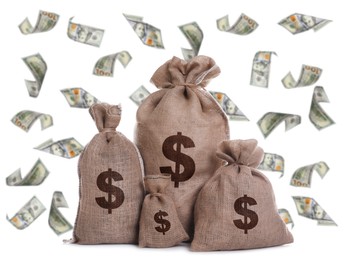 Image of Dollar bills flying around burlap sacks with currency symbols on white background