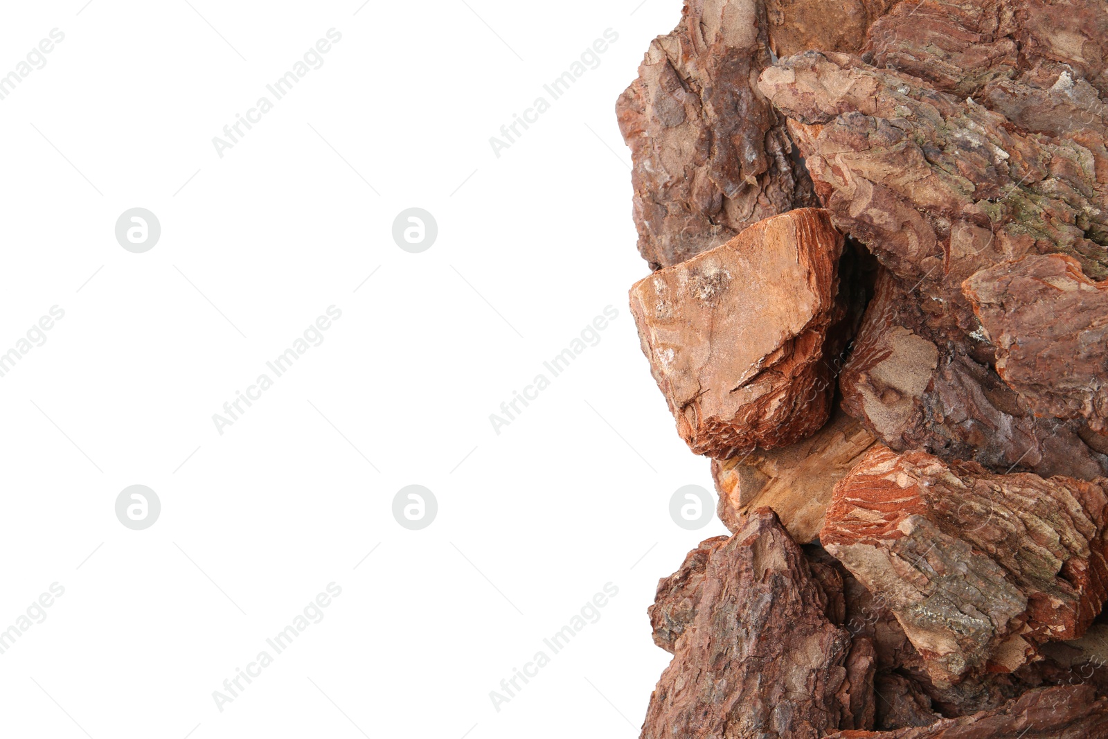 Photo of Pieces of tree bark on white background, top view. Space for text