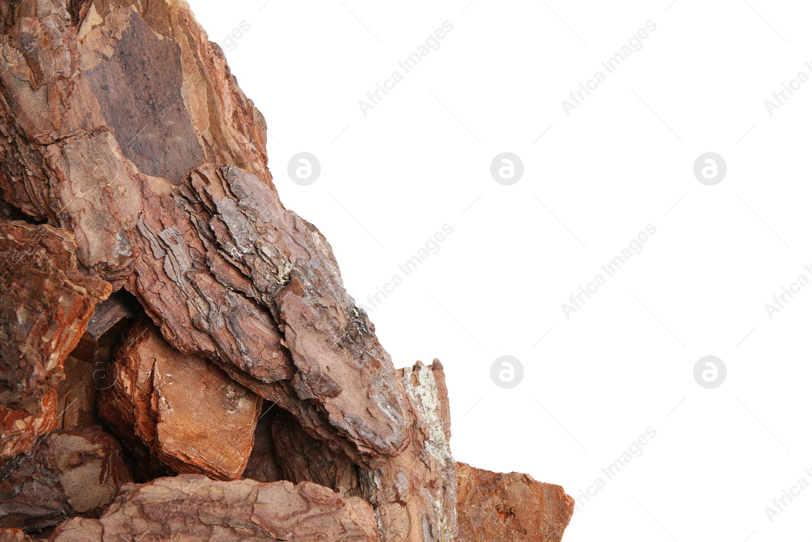 Photo of Pieces of tree bark on white background, top view. Space for text