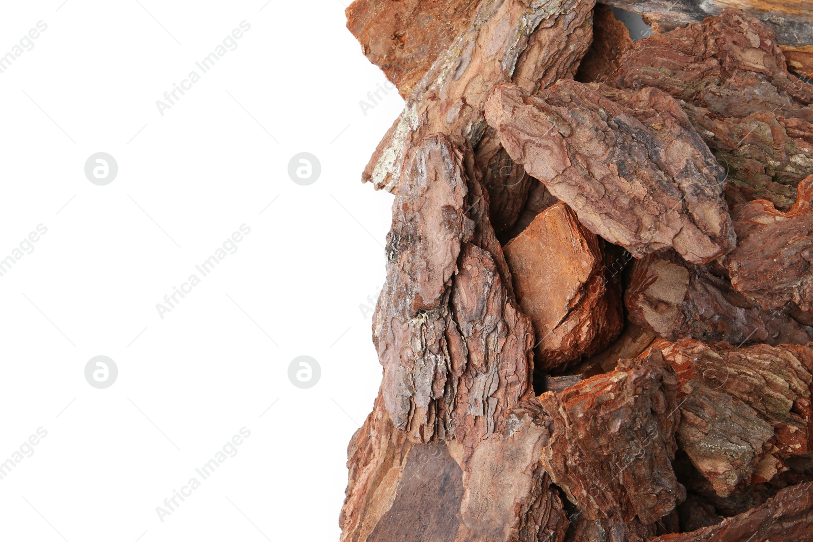 Photo of Pieces of tree bark on white background, top view. Space for text