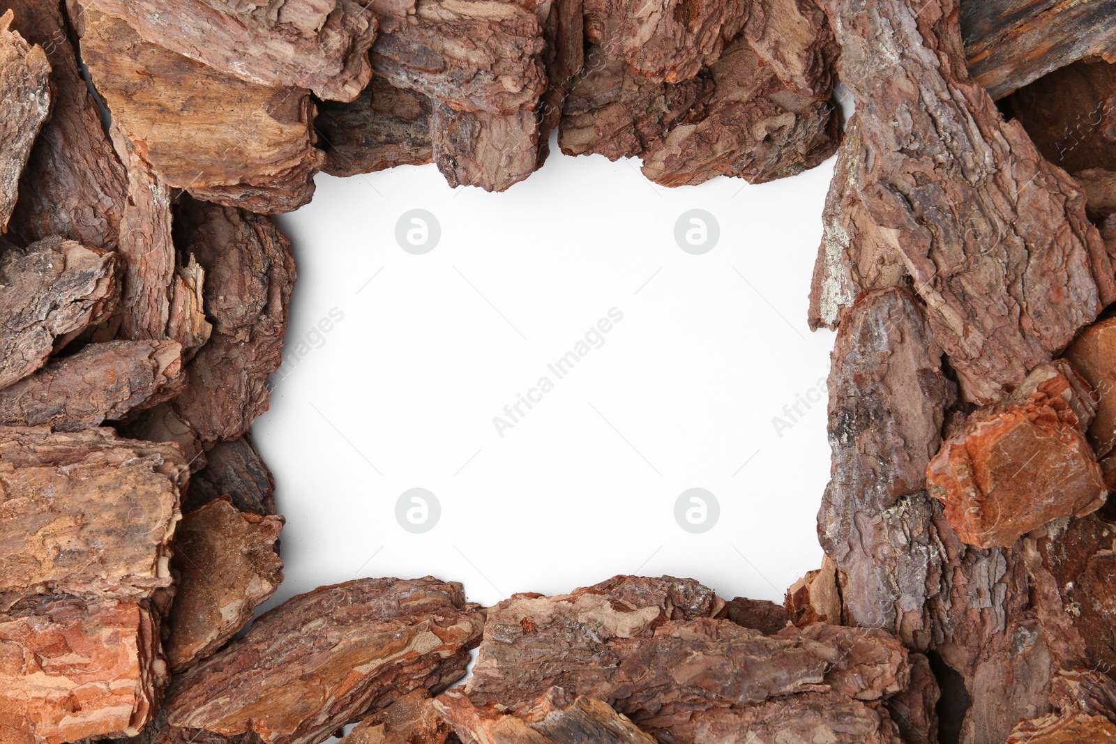 Photo of Frame of tree bark on white background, top view. Space for text