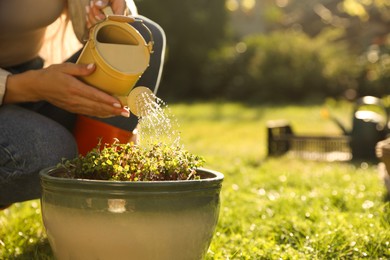 Photo of Woman watering potted seedlings with can outdoors, closeup. Space for text