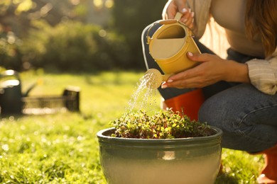 Photo of Woman watering potted seedlings with can outdoors, closeup