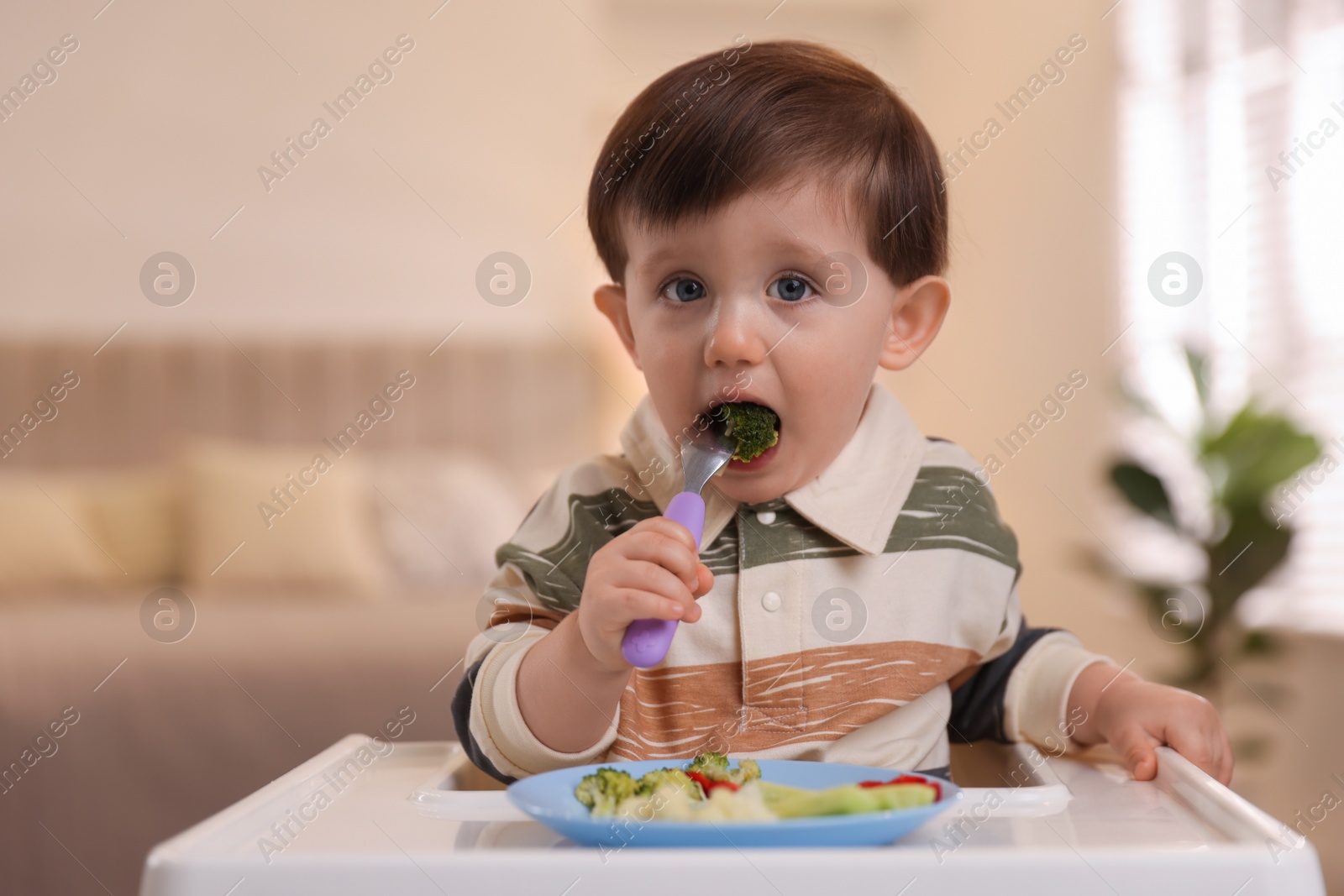 Photo of Cute little baby eating healthy food in high chair at home