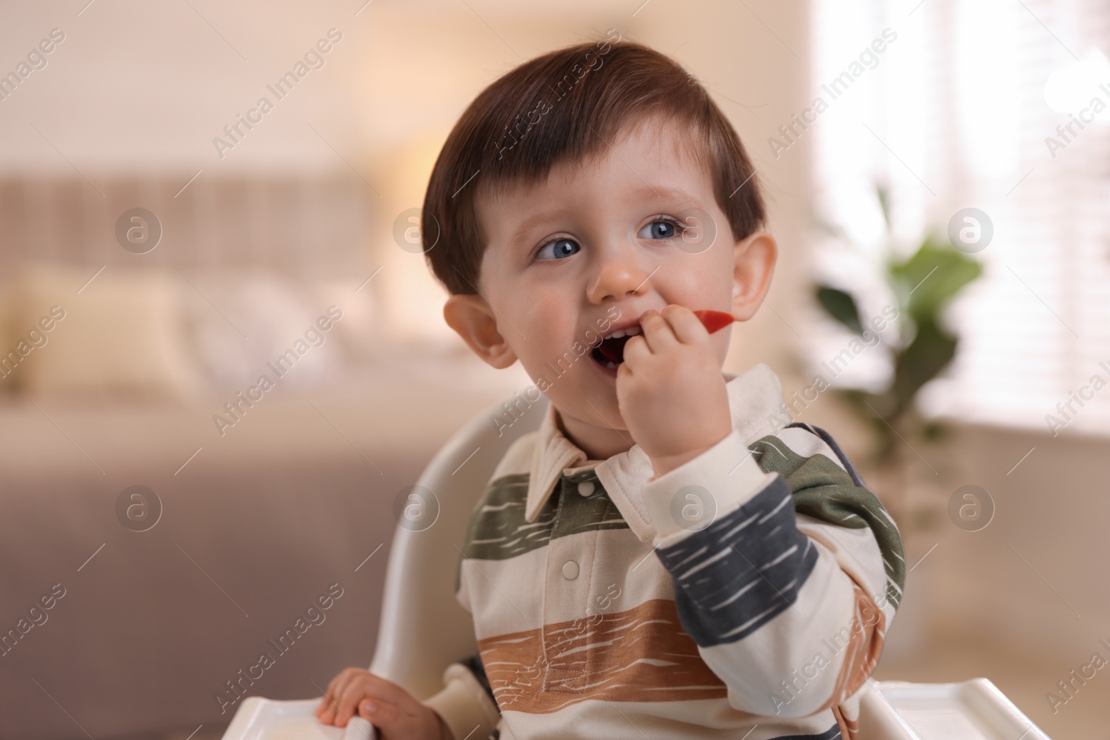 Photo of Cute little baby eating healthy food in high chair at home