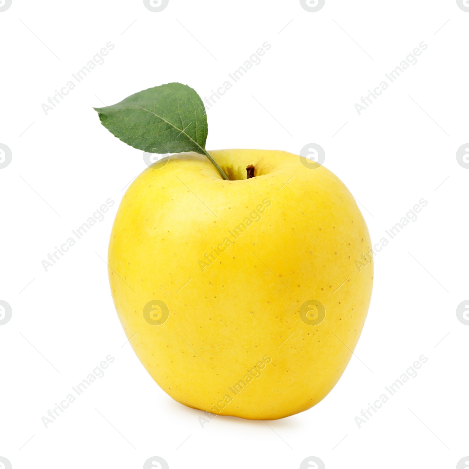 Photo of One fresh yellow apple isolated on white