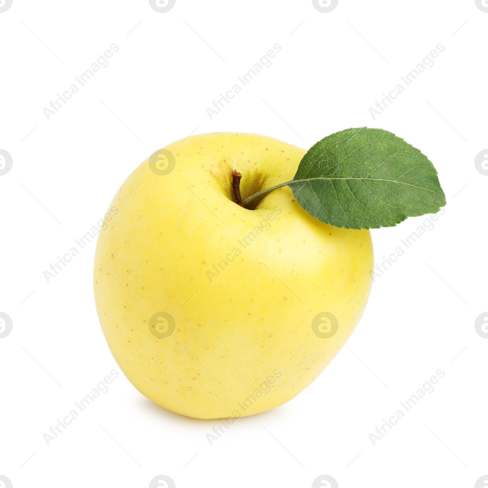 Photo of One fresh yellow apple isolated on white