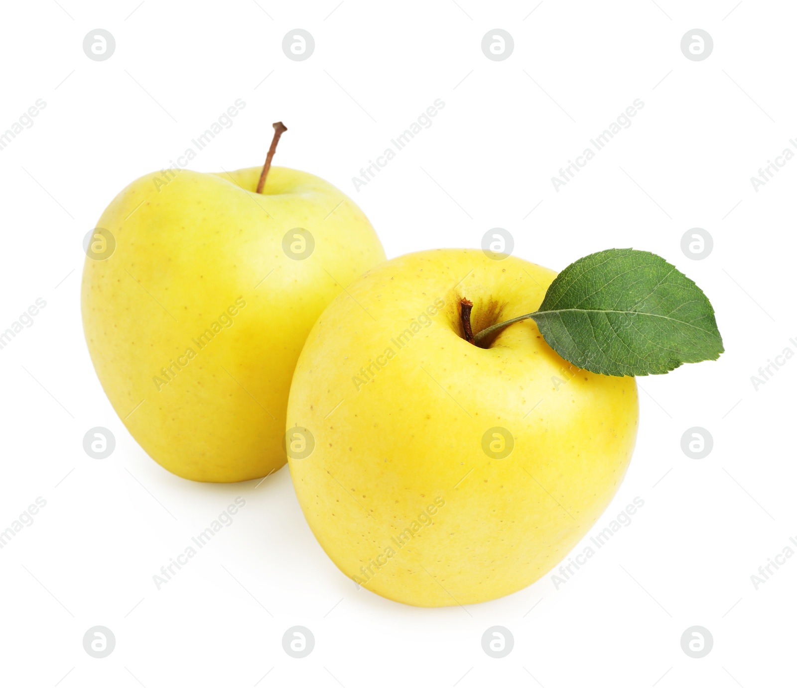 Photo of Fresh juicy yellow apples isolated on white