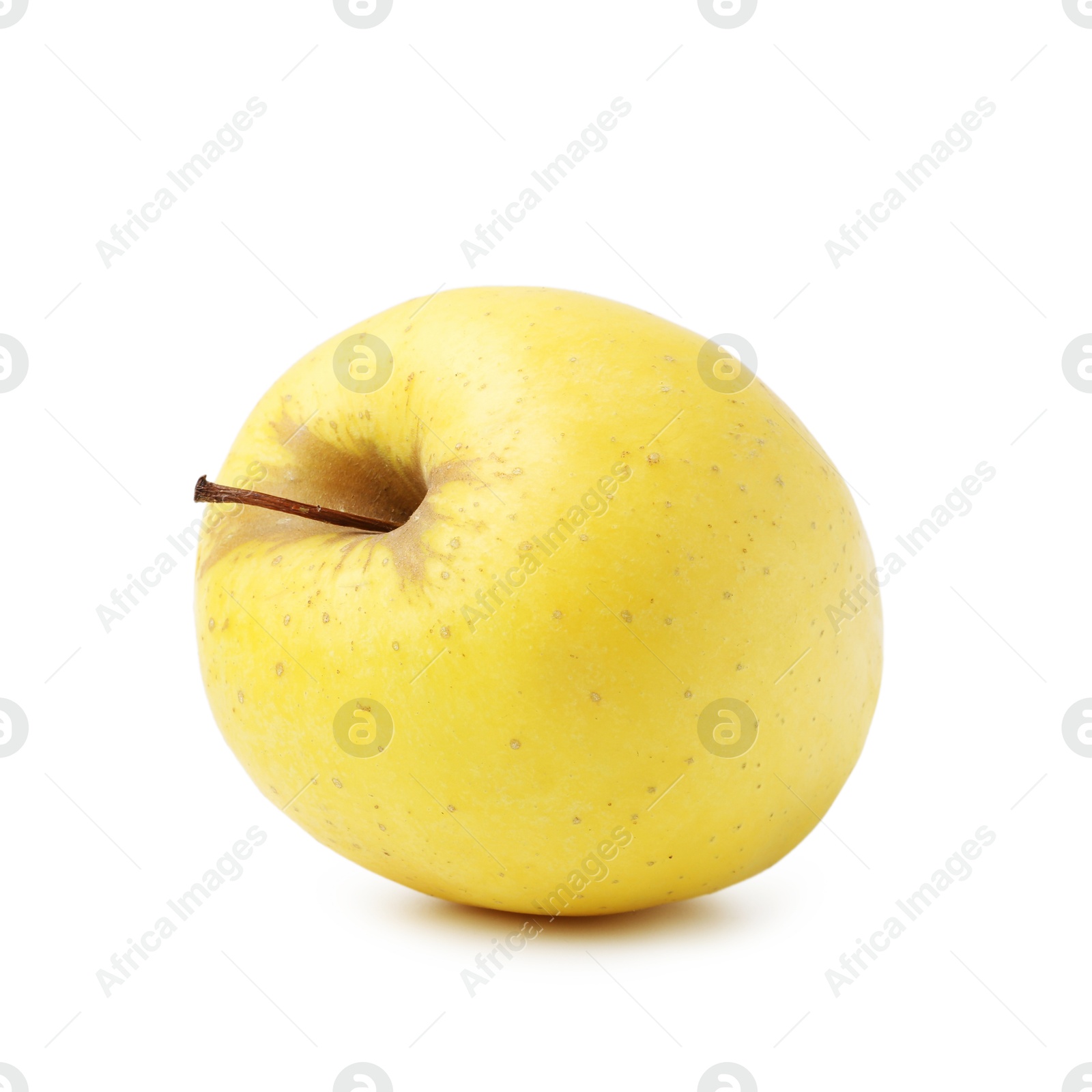 Photo of One fresh yellow apple isolated on white