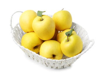 Photo of Many fresh yellow apples in wicker basket isolated on white