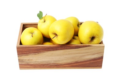 Ripe yellow apples in wooden crate isolated on white